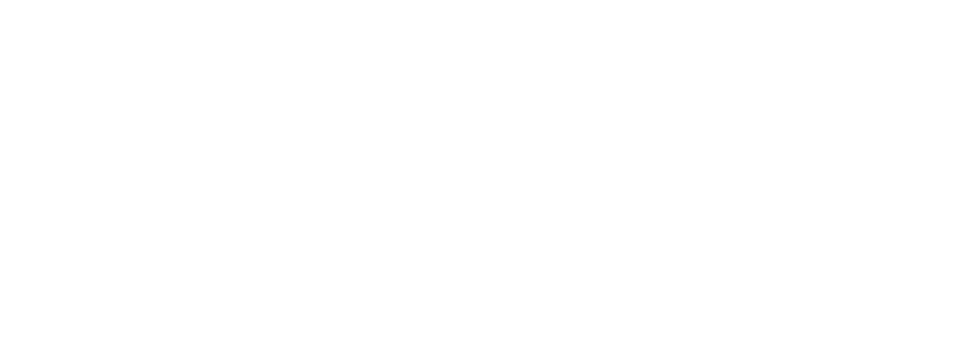 cricket insight logo